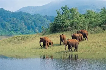 Kanyakumari to Thekkady Wildlife